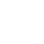 Logo_Brightsign